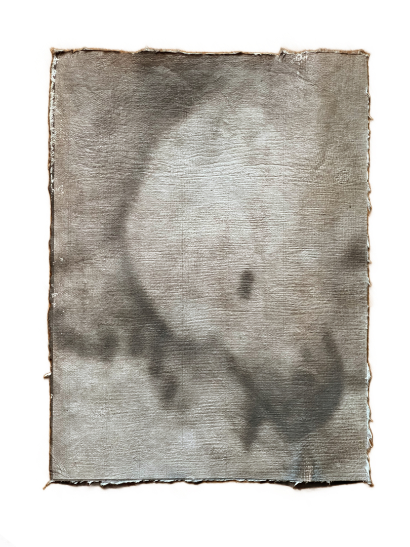 The Needs of our Feelings I, 2024. Toned cyanotype, 36 x 26 cm.